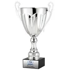 Champions Silver Trophy Cup | Silver Trophy Cup Statue | Paradise Awards