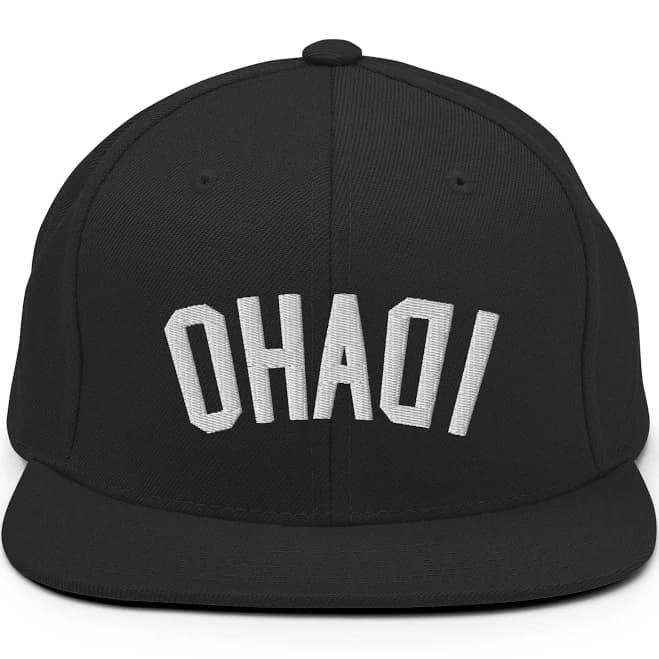 3D Puff Embroidery Idaho Backwards Hat
