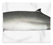 Hubbs' Beaked Whale Adult Female Portable Battery Charger by Martin Camm / Carwardine / Naturepl.com - Fine Art America
