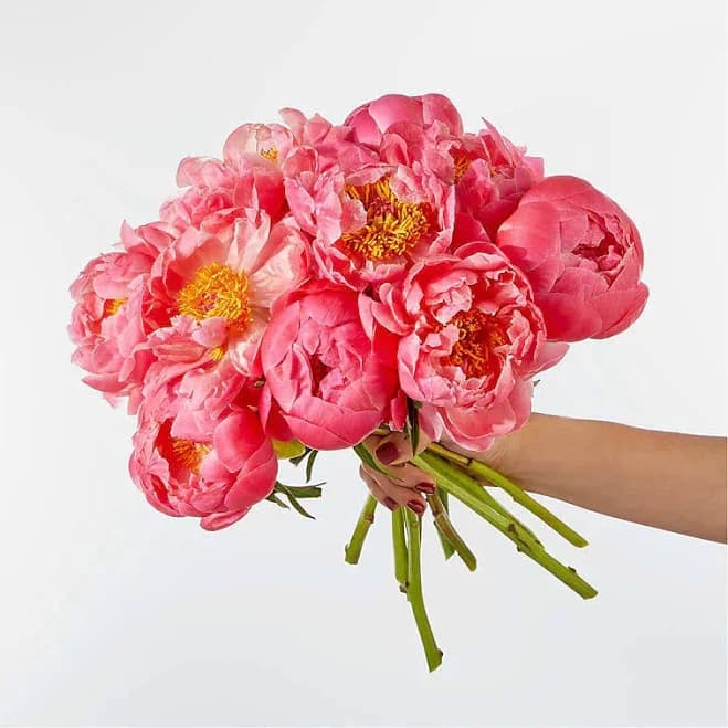 FTD Best Bunch Peony Bouquet