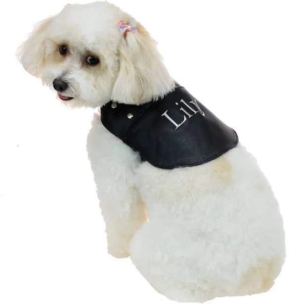Jamin Leather Doggie Leather Biker Coat