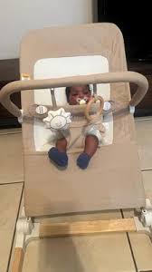 Baby Delight Heirloom Willow Wood Bassinet - Organic: Bedside Sleeper, Includes Mattress/Pad, Wooden Frame : Target