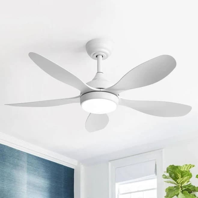 Sofucor 23'' Ceiling Fan with Light