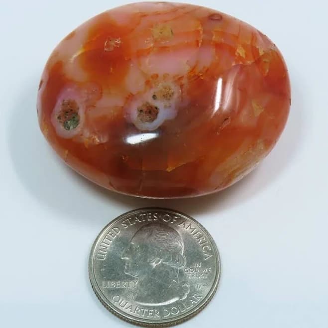 Madagascar Polished Carnelian Agate Palm Stone