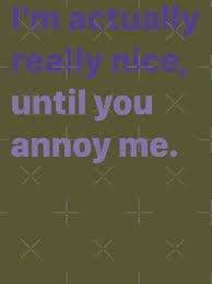 I'm Actually Really Nice, Until You Annoy Me" Essential T-Shirt for Sale by LuckyFoxDesigns | Redbubble