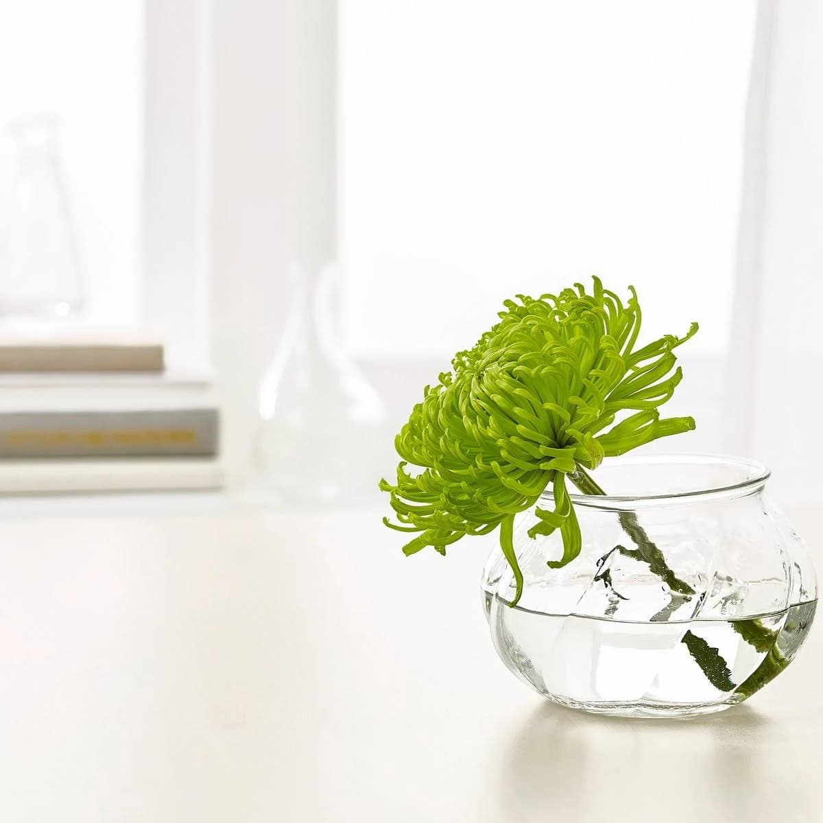 IKEA VILJESTARK Vase