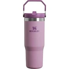 Stanley 1913 The Iceflow Flip Straw Tumbler