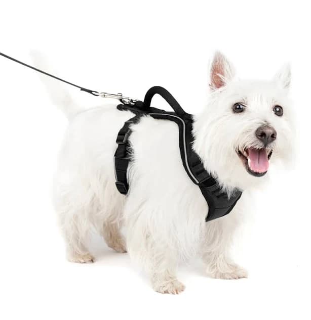 PetSafe EasySport Dog Harness