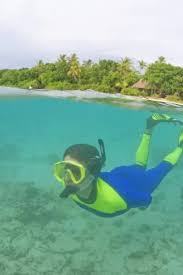 Above & Below View of Picnic Island, Fiji Print. Art Prints, Posters & Puzzles from Danita Delimont