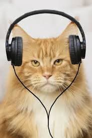 Ginger Maine Coon Cat Wearing Headphones Print. Art Prints, Posters & Puzzles from Ardea