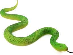 Amazon.com: SIENON Realistic Fake Snakes Toy, Soft Rubber Snake Figure Garden Scare Birds and Squirrels, Green Poisonous Snake Figurines Stress Relief Gag Toys Halloween Party Favors Decoration Prank Props : Toys &