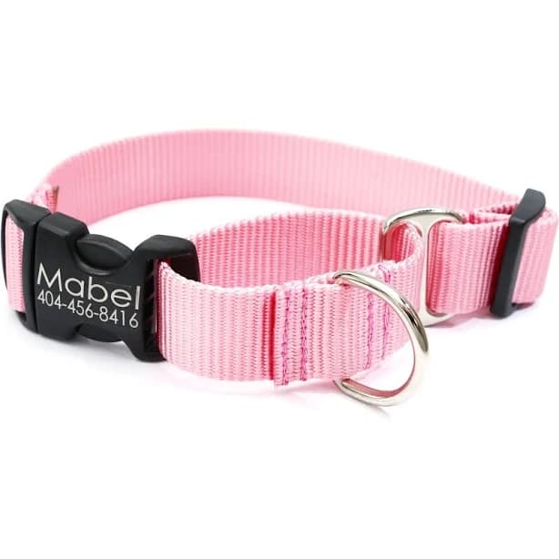 Mimi Green Personalized Nylon Martingale Dog Collar