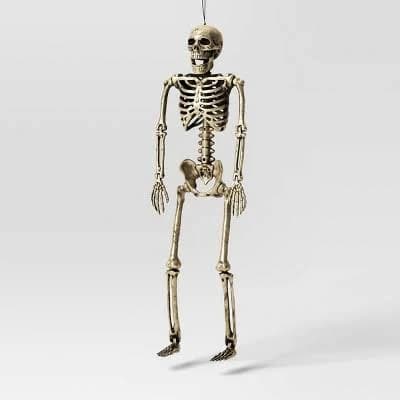 Hyde and Eek! Boutique 24" Poseable Skeleton Halloween Decorative Prop
