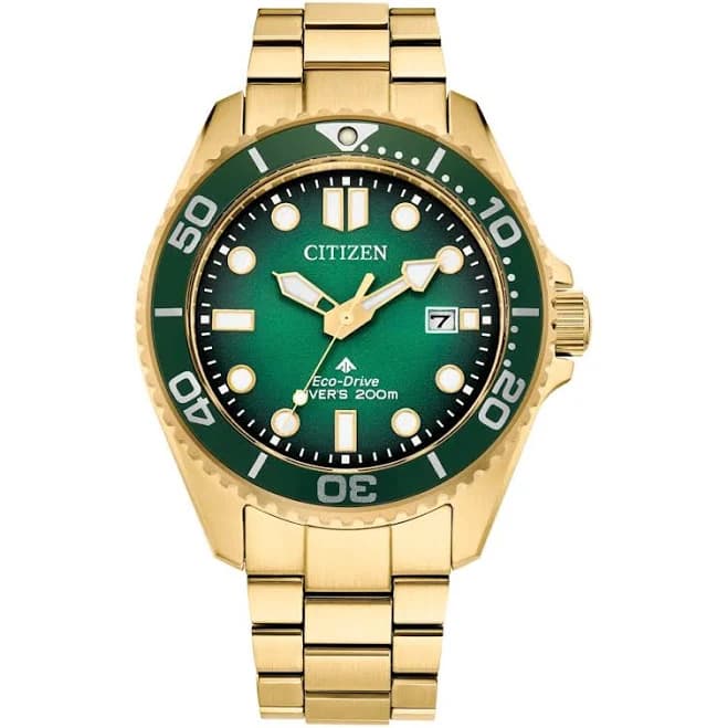 Citizen Men's Promaster Dive Watch