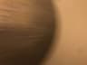 Video frame trigger