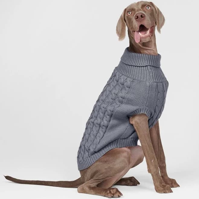 Spark Paws Cable Knit Dog Sweater