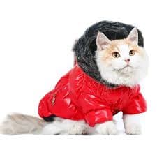 Jacket 01