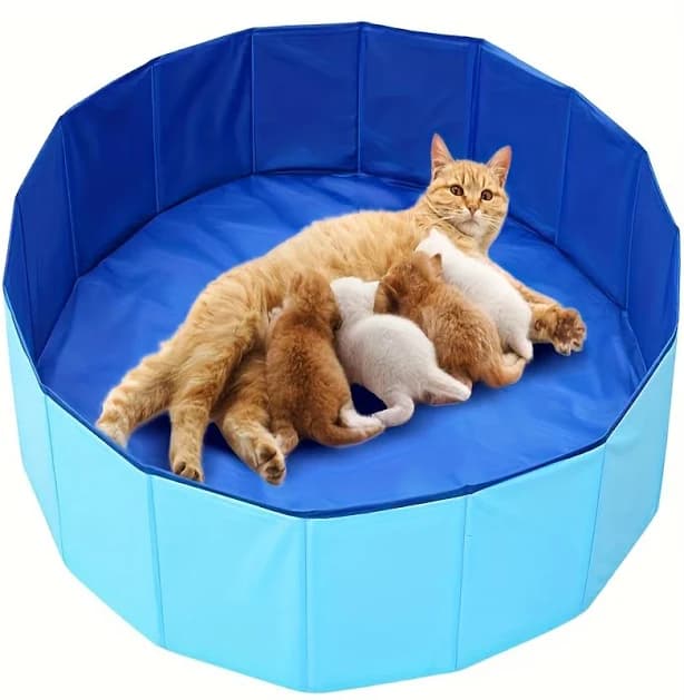 Pet pool, Dog bath tub, Portable Pet Bath Tub for Cats & Small Dogs - Durable PVC Round Design with Built-in Shelves, Dog bathing station, Enclosed