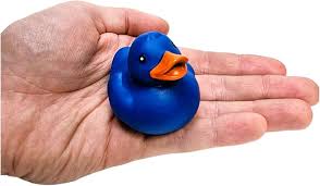 Amazon.com: Patos de goma flotantes coloridos clásicos (paquete de 12) juguetes divertidos para carnavales y fiestas de baño y patitos de pato Jeep : Juguetes y Juegos