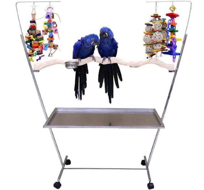 Large Stainless Steel Parrot Play Stand - Play Gym - Made in USA by The Parrot Wizard