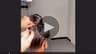 Video frame trigger