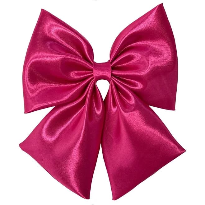Girls Hair Bow Clip