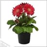 Video frame trigger