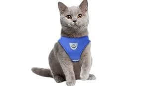 Reflective Cat Harness Vest with Matching Leash