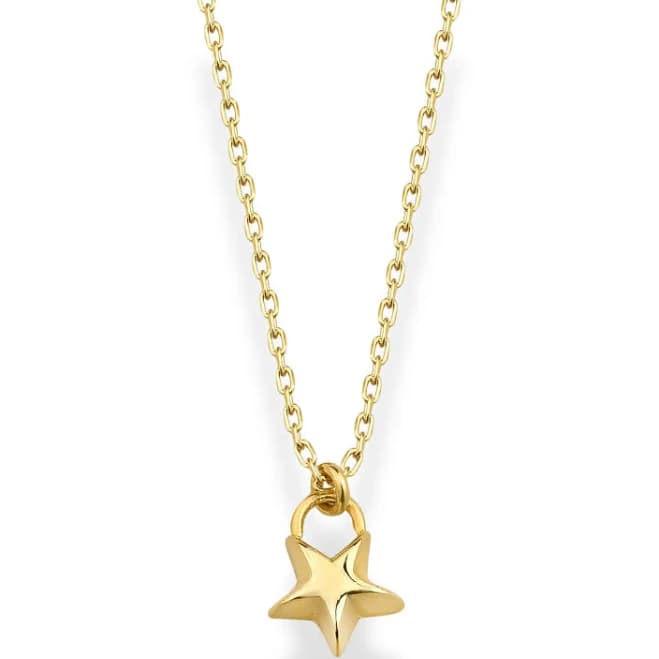 Little Star Necklace 14K Gold / Silver Silver