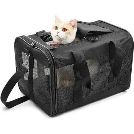 Malulu Pet Travel Carrier