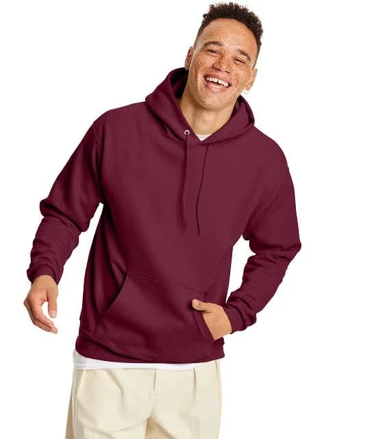 Hanes EcoSmart Hooded Sweatshirt Men's