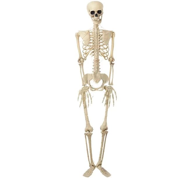 LTD Commodities Halloween Skeleton Poseable Lighted Decor