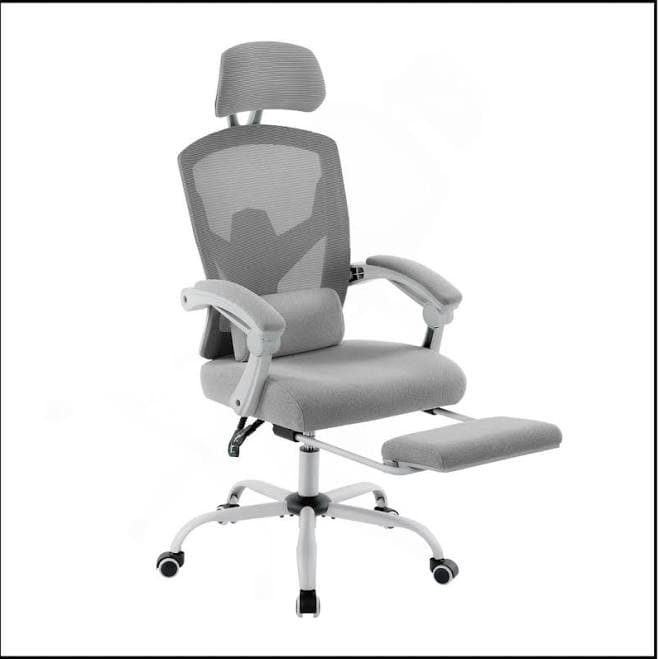 Latitude Run Ergonomic Office Chair