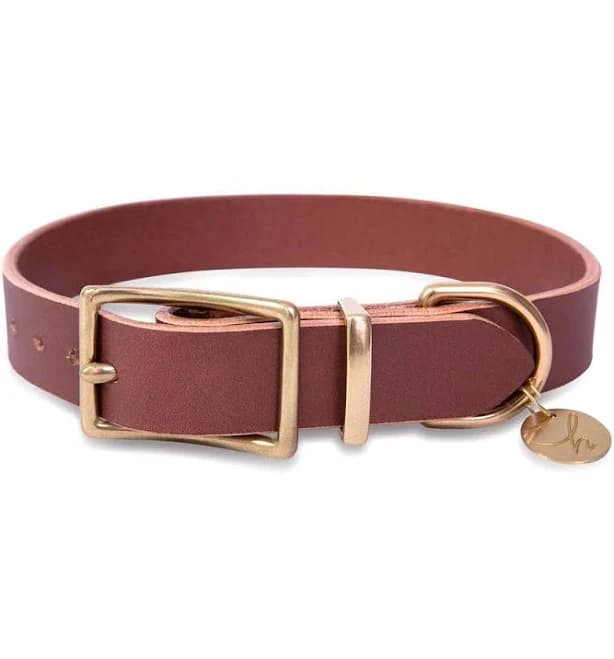 Luxury Leather Dog Collar
