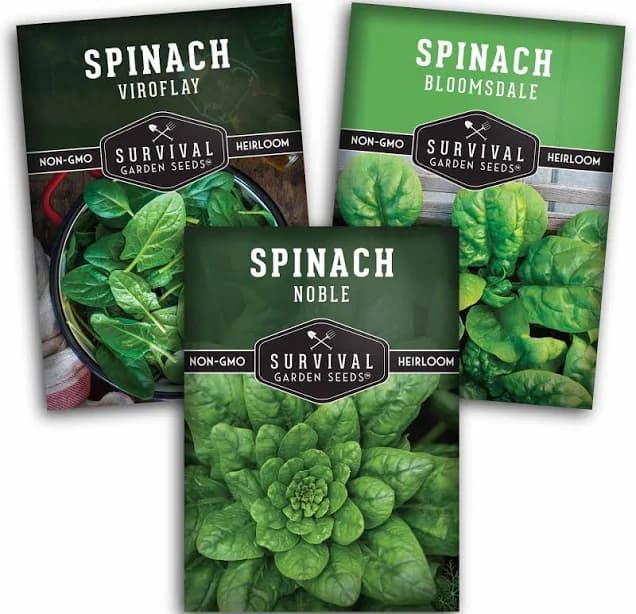 Spinach Seed Collection Full Sun Annual Vegetable Seeds