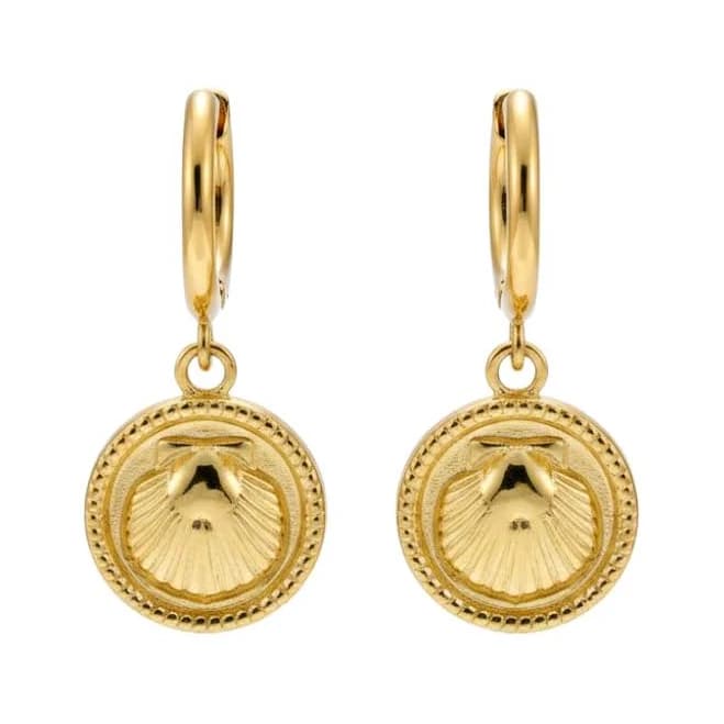 Shell Charm Dangling Hoop Earrings