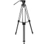 Video frame trigger