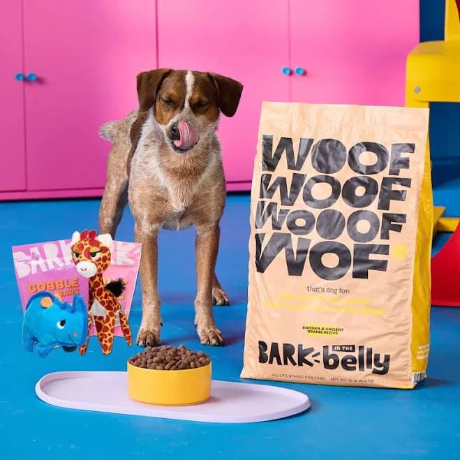 4 Weeks Premium Food Free Barkbox Dog Toys & Treats Box
