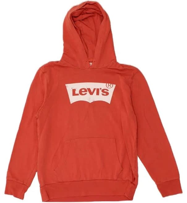 Levi's Men's Logo Graphic Pull-Over Hoodie