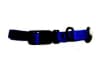 Video frame trigger