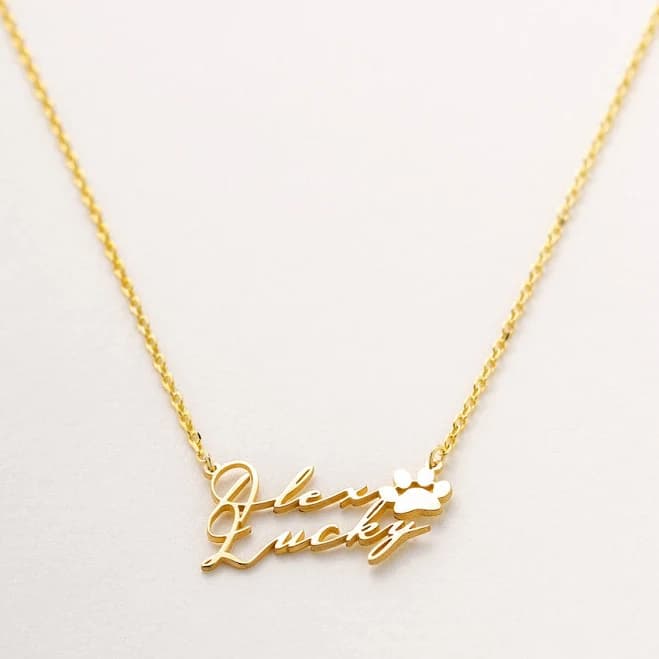 Custom Necklace for Pets with Names and Paw Prints – Silveristic