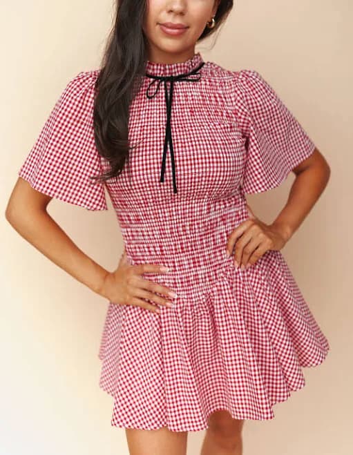 Little Red Gingham Dress