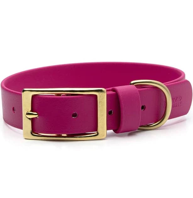 BioThane Dog Collar Waterproof Magenta Pink Vivid Canine