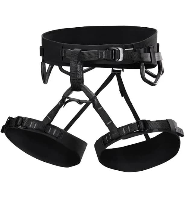 Arc'teryx AR-395a Harness Men's