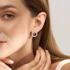Kienl Hot Full Shiny Natural Zircon English Earrings for Women Simple Round 585 Rose Gold Color Daily Fine Jewelry Crystal Gift - AliExpress 36