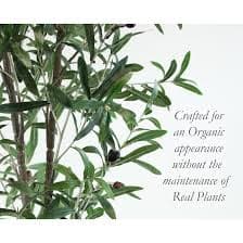 The Mod Greenhouse 72-in Green Indoor Floor Olive Artificial tree in the Artificial Plants & Flowers department at Lowes.com