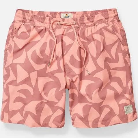 Marine Layer Men's Printed Lined Swim Shorts