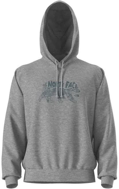 The North Face Men's Evolution Bear Graphic Hoodie