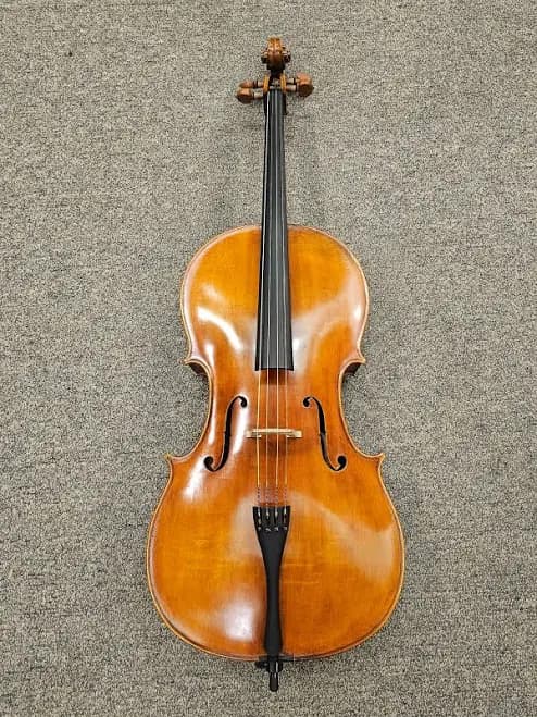 D Z Strad Cello Model 500