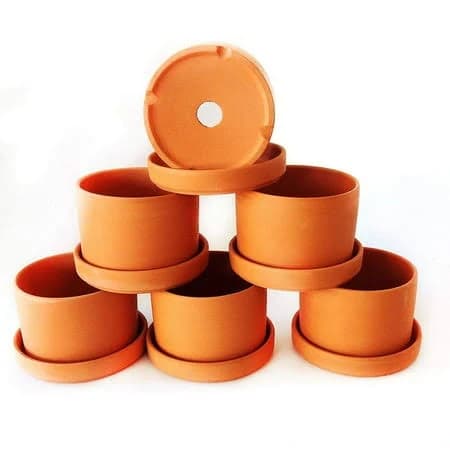Natural Terra Cotta Round Fat Walled Garden Planters with Individual Trays (Set of 6)
